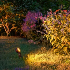 Paulmann Plug & Shine Sting Spot 2200K 3x Basisset -Innenleuchten Store 10008746 3