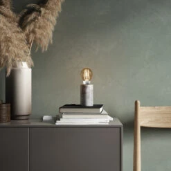 Bridge Für Nordlux Smart Light EU + 2 X E27-Globe -Innenleuchten Store 10009927 3