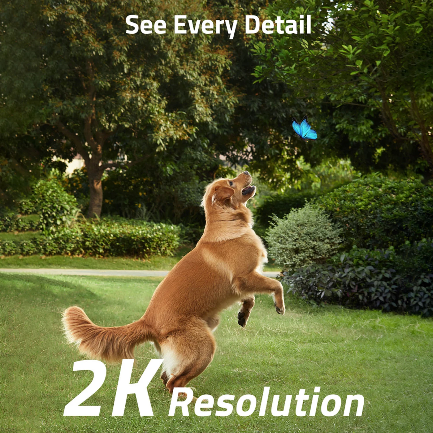 EUFY Security SoloCam S40 LED-Außenkamera Solar 10 EUFY Security SoloCam S40 LED-Außenkamera Solar – Bild 8