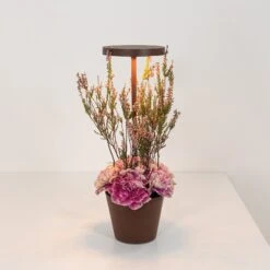 Zafferano Poldina Reverso Akku-Tischlampe Corten -Innenleuchten Store 10016405 3