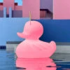 LED-Designleuchte DUCK-DUCK XL Für Außen In Pink -Innenleuchten Store 10016419