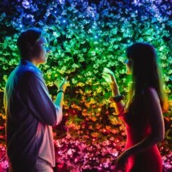 Lichterkette Twinkly RGB, Schwarz, 400-flammig 32m -Innenleuchten Store 6102015 5