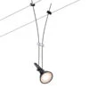 Paulmann Comet Einzelspot Für Seilsystem, Schwarz -Innenleuchten Store 7602737