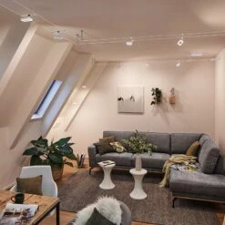 Paulmann Frame LED-Seilsystem 5fl. Weiß Matt 19 Paulmann Frame LED-Seilsystem 5fl. Weiß Matt -Innenleuchten Store 7602845 8