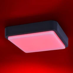 Paul Neuhaus Q-LENNY Außenwandleuchte, Anthrazit -Innenleuchten Store 7610605 1