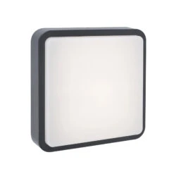 Paul Neuhaus Q-LENNY Außenwandleuchte, Anthrazit -Innenleuchten Store 7610605 2