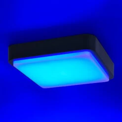 Paul Neuhaus Q-LENNY Außenwandleuchte, Anthrazit -Innenleuchten Store 7610605 3