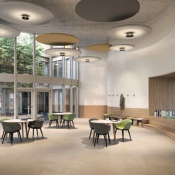 Ribag Vior LED-Deckenleuchte 2.700K 60° Schwarz -Innenleuchten Store 8020350 2