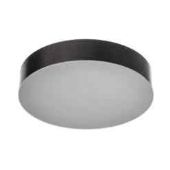 LED-Außendeckenlampe Lahja, IP65, Dunkelgrau -Innenleuchten Store 9949016 3